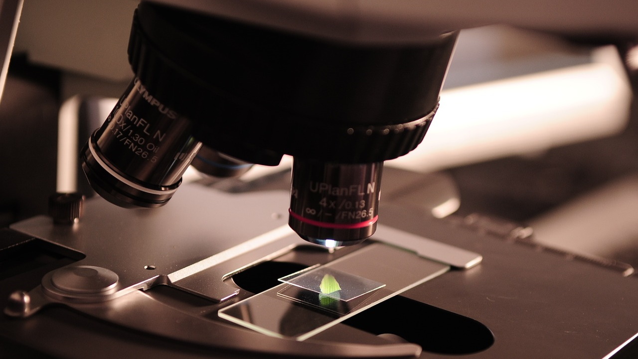 investigacion