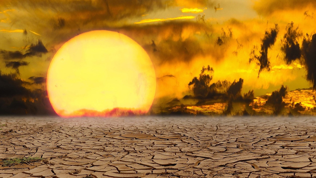 Sol Calor